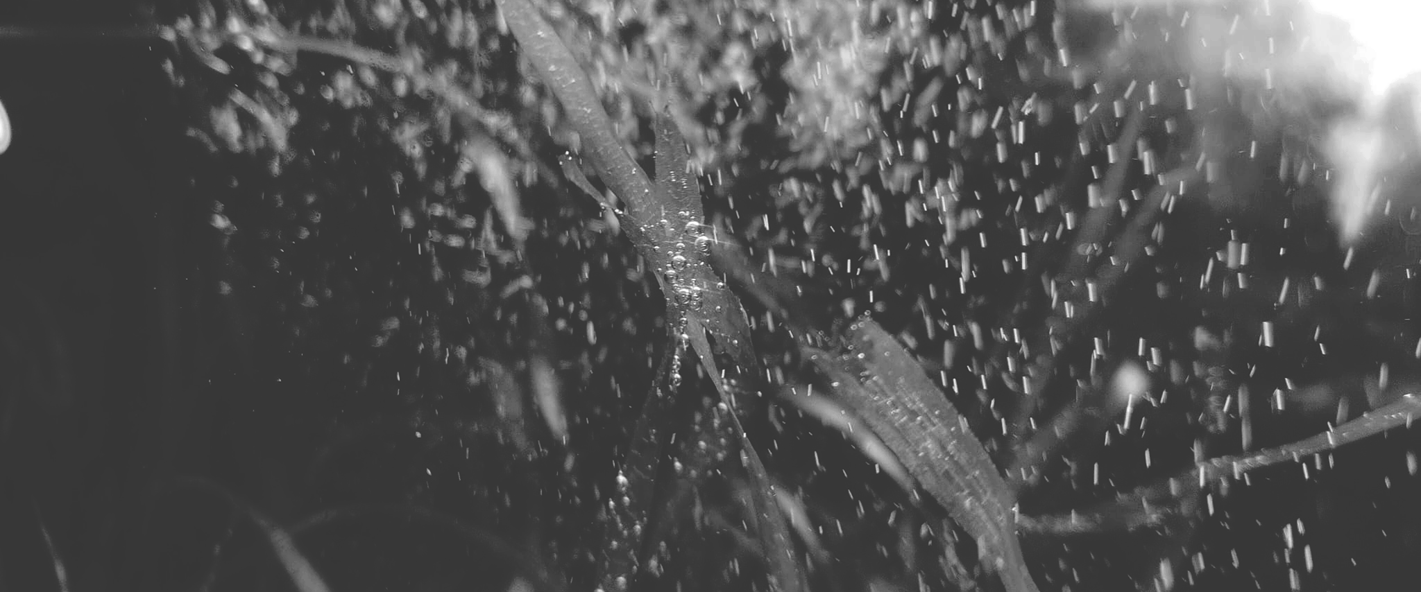 Uzumaki Skyline Zero